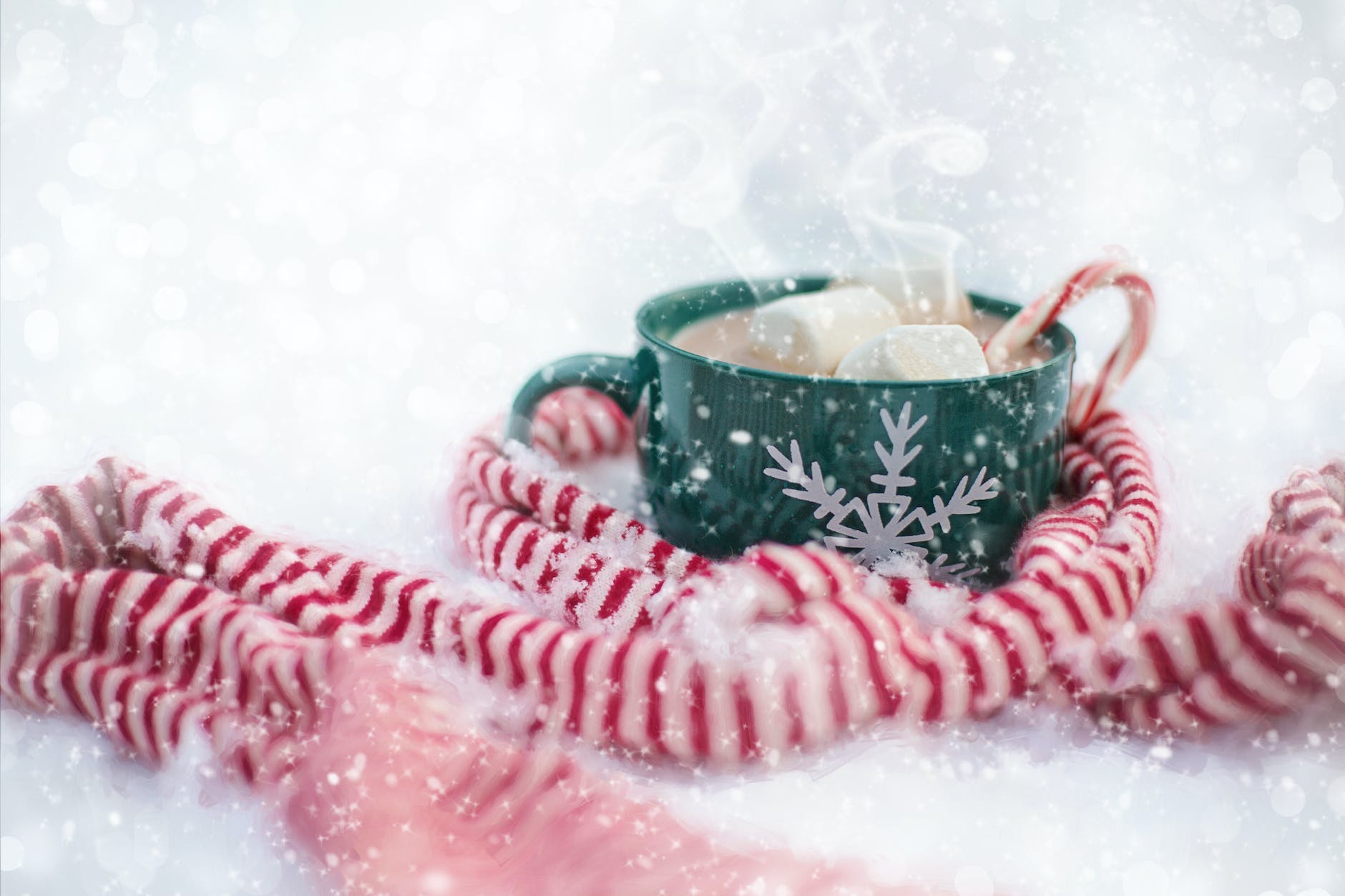 beverage filled mug with marshmallows beside rope